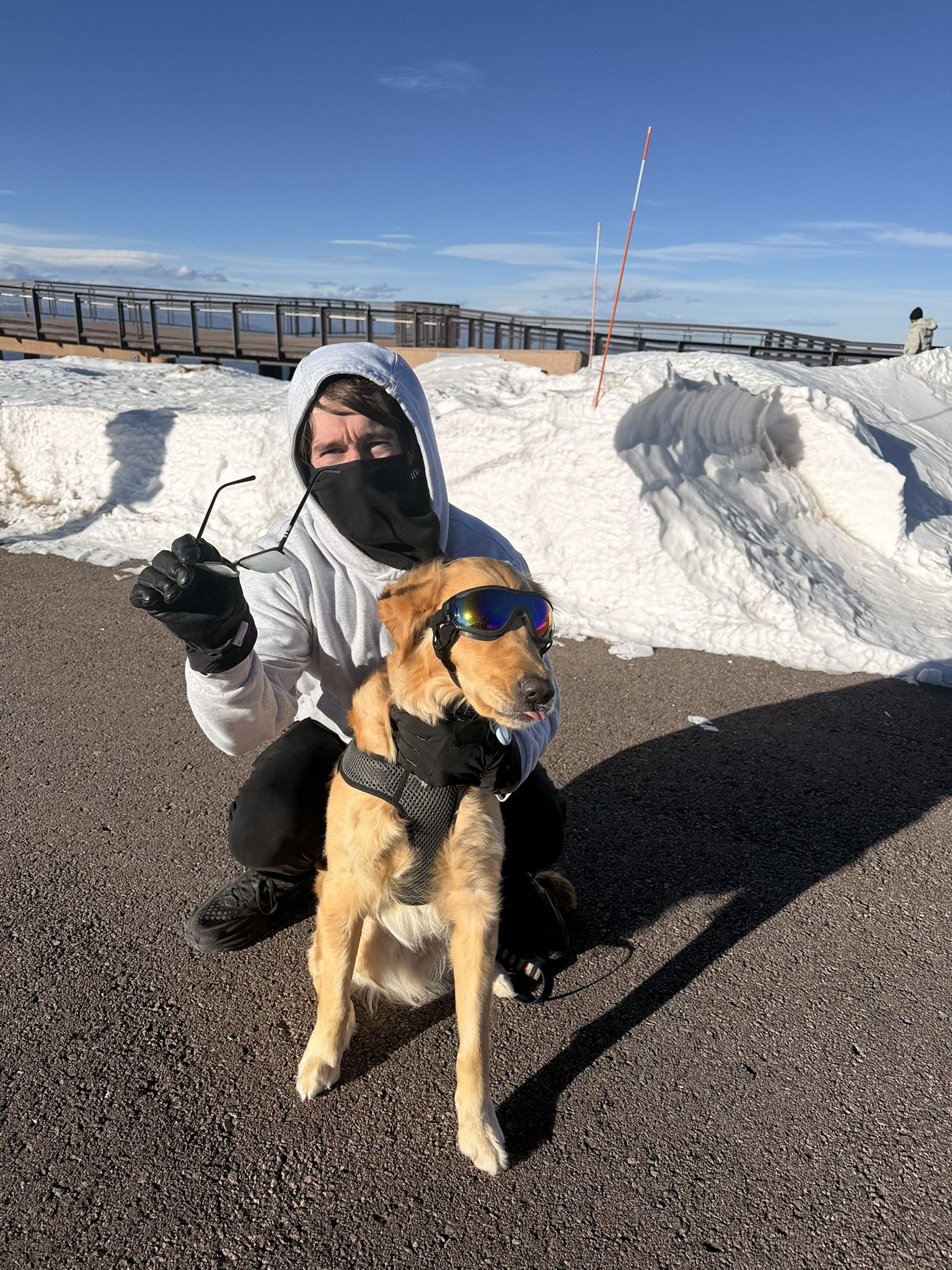 Winnie in the snow wearing reflective goggles with a person crouched behind him.