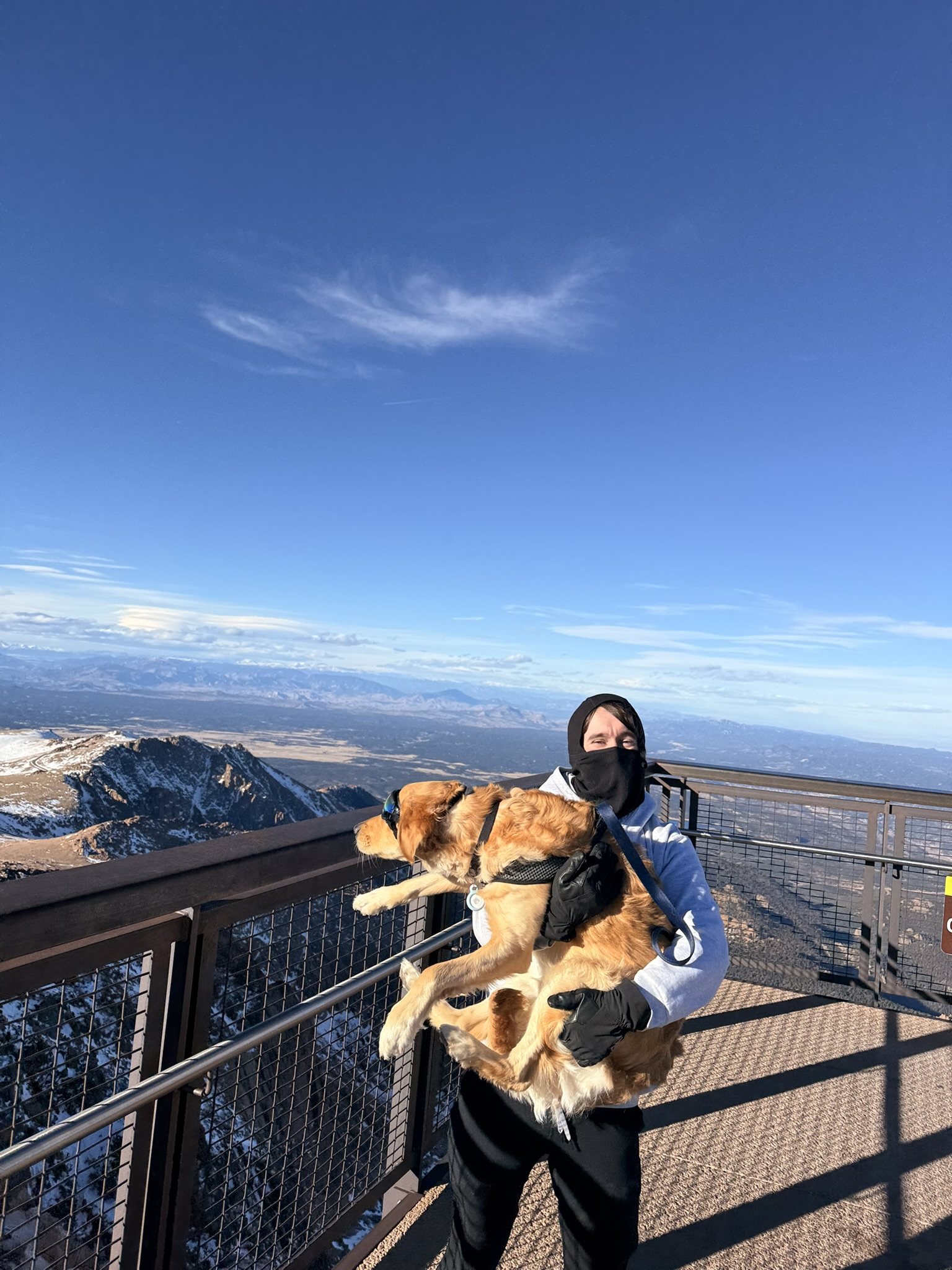 A person carrying Winnie at a snowy mountain overlook.